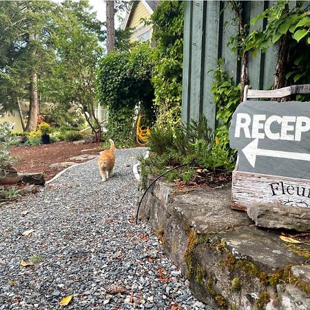 Quarrystone House B&B Fernwood Exterior photo